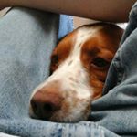 Profile Picture of Chris Capobianco (@escape_from_ny) on Instagram