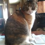 Profile Picture of Matthew Patin (@Matthew-Patin) on Facebook