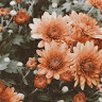 Profile Picture of Amelia Swain (@amelia-swain-5) on Quora