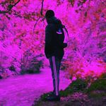 Profile Picture of Emmanuel Ojo (@ojo7729) on Instagram