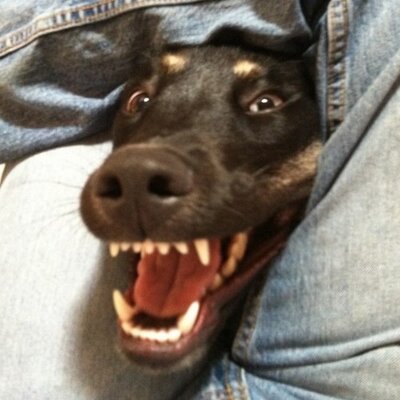 Profile Picture of Matt Lanham (@MattSLanham) on Twitter