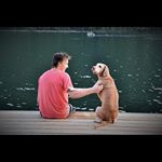 Profile Picture of Bryan Fraser (@bryan__fraser) on Instagram