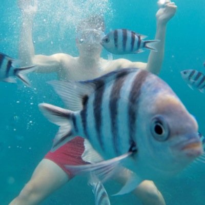 Profile Picture of Tom Sellers (@t_sells8) on Twitter
