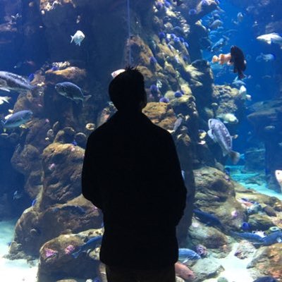 Profile Picture of James Javier (@javibabyyy) on Twitter