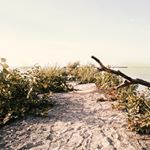 Profile Picture of Neal Patrick (@thenotoriousneal) on Instagram