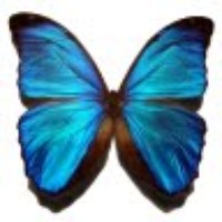 Profile Picture of Rahul Mathukumalli (@rahul-mathukumalli) on Quora
