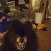Profile Picture of Bud Kopp (@bud.kopp.16) on Facebook