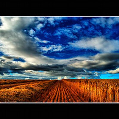 Profile Picture of Mark Akin (@akin_mark) on Twitter