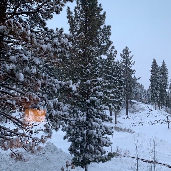 Profile Picture of Sophie Lippoldt (@slipp961) on Poshmark