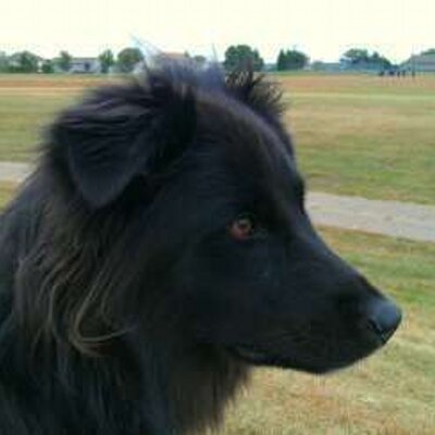 Profile Picture of Mike Gulla (@trashworker) on Twitter