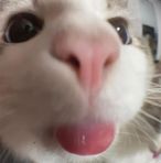 Profile Picture of Jm Harrison (@Jm-Harrison) on Facebook