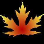 Profile Picture of Pieter Nell (@themagicwoodworker) on Instagram