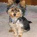 Profile Picture of Kitty Schulz (@kitty532396) on Pinterest