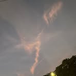 Profile Picture of Pamella Newland (@Pamella-Newland) on Facebook