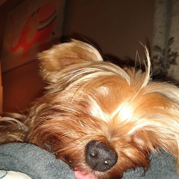 Profile Picture of Craig Tannahill (@kerrylparent) on Poshmark