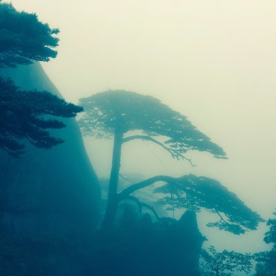 Profile Picture of Steven Shu (@stevenshu19720) on Twitter