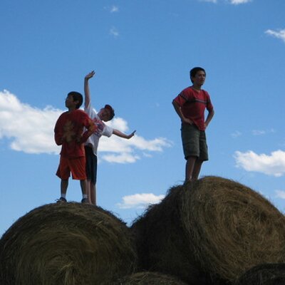 Profile Picture of Sean Hagedorn (@Shonald) on Twitter