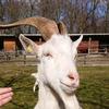 Profile Picture of AnniReith (@annireith) on Tiktok