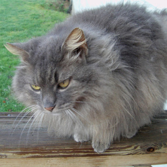 Profile Picture of Vickie Abner (@vickie_abner) on Poshmark