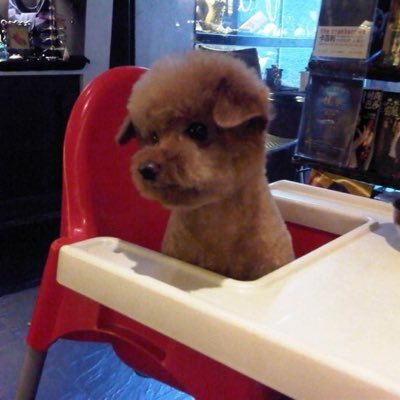 Profile Picture of Dale Hsing Yun Liu (@dale0816liu) on Twitter