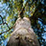 Profile Picture of Kammakazi (@kammakazi) on Flickr