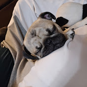 Profile Picture of Jerome Daigle (@JeromeDaigle-vi6ne) on Youtube