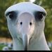 Profile Picture of Dan VanEpps (@dan.vanepps) on Facebook