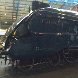 Profile Picture of Steven Gibbins (@gibbins_steven) on Twitter