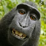 Profile Picture of Alex Bogusz (@alexbogusz) on Instagram