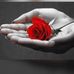 Profile Picture of Wafaa Yousef (@wafaa.yousef.902) on Facebook