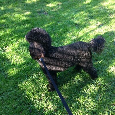 Profile Picture of Mark Gidman (@markgiddyup) on Twitter