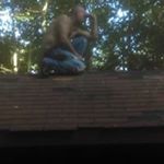 Profile Picture of Scott Terwilliger (@scott.terwilliger.102) on Instagram