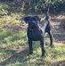 Profile Picture of Dewayne Holley (@dewayne.holley.10) on Facebook