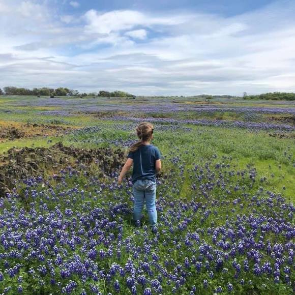 Profile Picture of Crystal Martin brahm (@hurricane_bee) on Poshmark