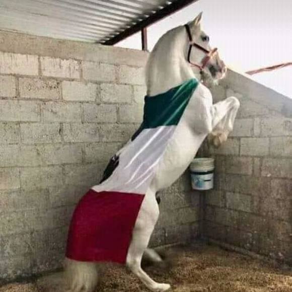 Profile Picture of Alex De la torre (@lila358) on Poshmark