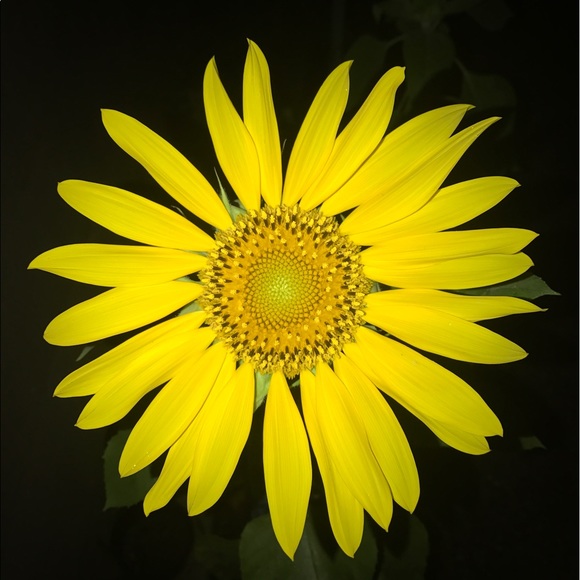 Profile Picture of Emily Dominguez (@emily17377374) on Poshmark