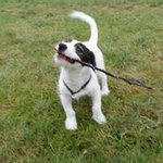 Profile Picture of Daniel Juhl (@juhldaniel) on Instagram