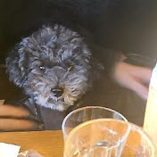 Profile Picture of Kim Jinhee (@kimjinhee5598) on Youtube