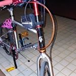 Profile Picture of Lisa Pong (@lisa.pong.3) on Instagram