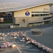 Profile Picture of Joaquim Esteves (@joaquimesteves440) on Youtube