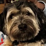 Profile Picture of Shayla Grant (@shayla.grant.585) on Instagram