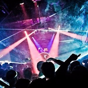 Profile Picture of Kate Collier (@katecollier83) on Twitter