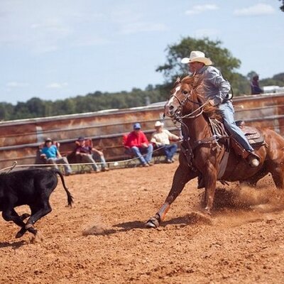 Profile Picture of Kyle Matheson (@mathesonkyle1) on Twitter