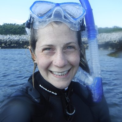 Profile Picture of Louise Roberts (@DrLouRoberts) on Twitter