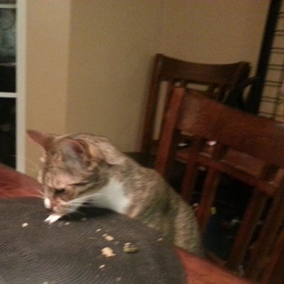 Profile Picture of Erik Beall (@Oceans311) on Twitter