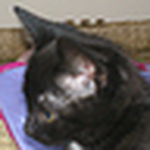 Profile Picture of James Willis (@james willis) on Flickr