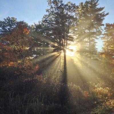 Profile Picture of Victor Botero (@vibo258) on Twitter