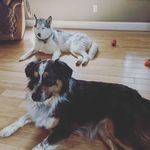 Profile Picture of Benjamin John Kirby Matthews (@benjaminjohnkirby) on Instagram