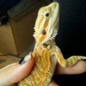 Profile Picture of Eric Dill (@ericdill7885) on Youtube