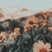 Profile Picture of Jaelynn royer (@jaelynnroyer) on Pinterest